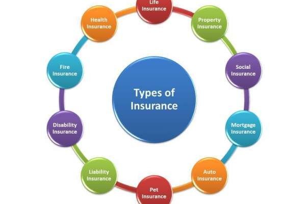 What Are Different Types of Insurances?