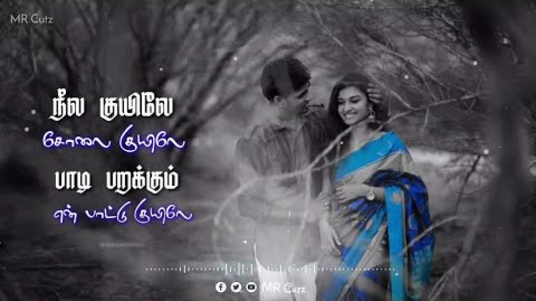 Neela Kuyilea | Solai Kuyilea - IlayaRaja Classic Love Feel SonG Whatsapp Status Tamil