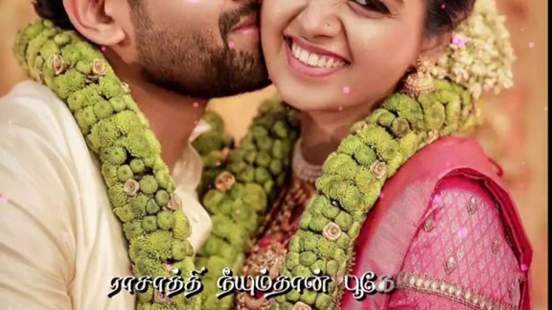Raasa Raasa Unna Vechuruka Nenjula lyrical Tamil whatsapp status | Manasthan Movie Status