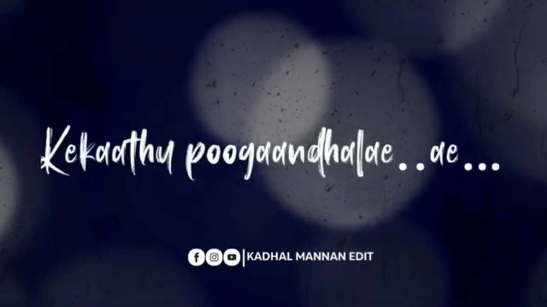 Kannama Kaala Cover Song || Tamil love WhatsApp status video