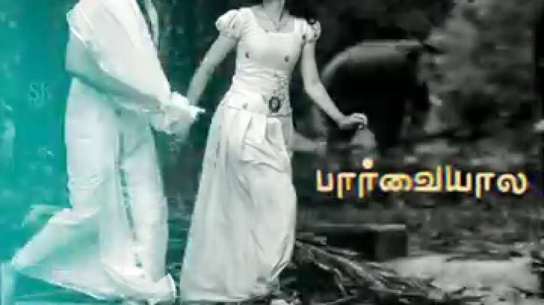 Vetaruva thogikitu vetti paya song | whatsapp status tamil | dhanush love song