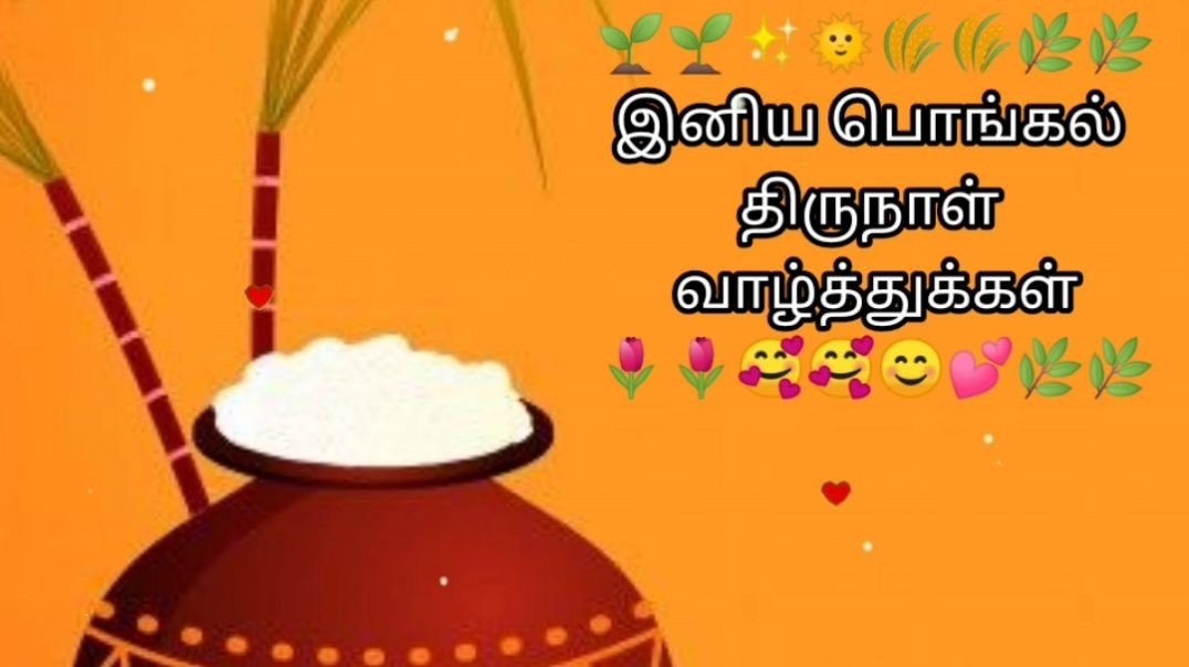 ⁣Pongal WhatsApp Status 2023 | Pongal Status Video | Tamil Pongal Status Download